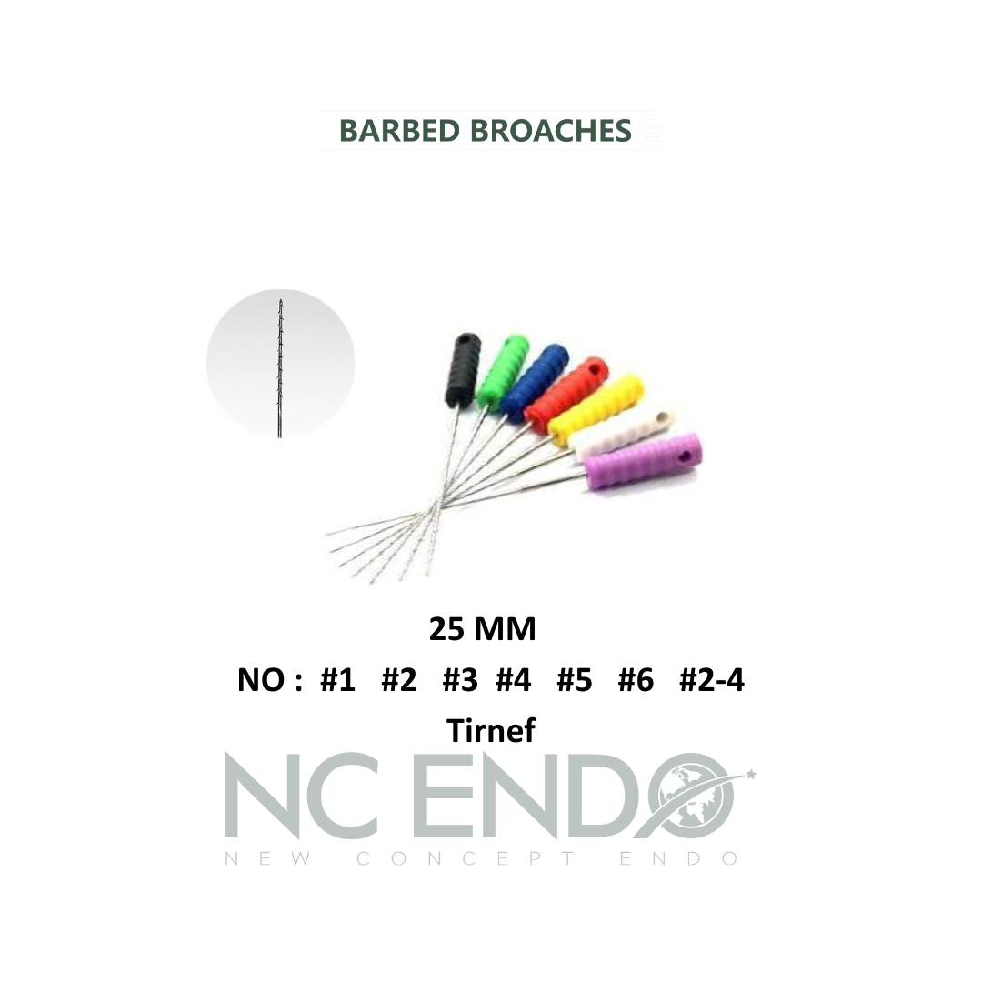 BARBED BROACHES (TİRNEF) KANAL EĞESİ