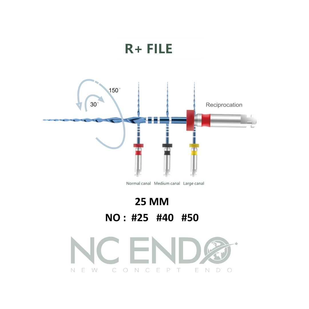 R+ FILE KANAL EĞESİ