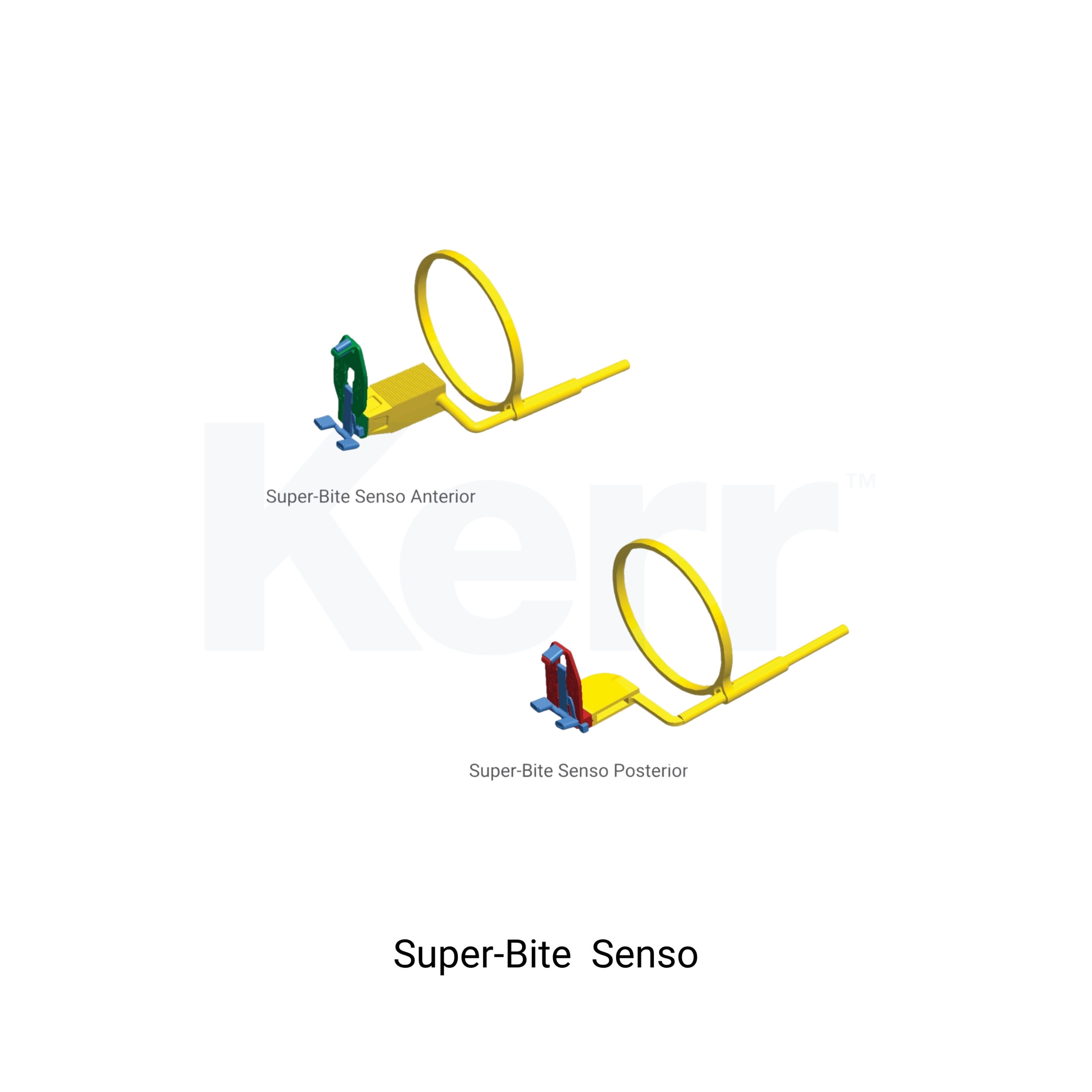 SUPER-BITE SENSO TUTUCU ASORTİ KİT